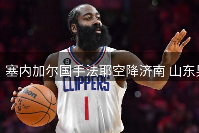 塞内加尔国手法耶空降济南 山东男篮新赛季首签锁定悍将
