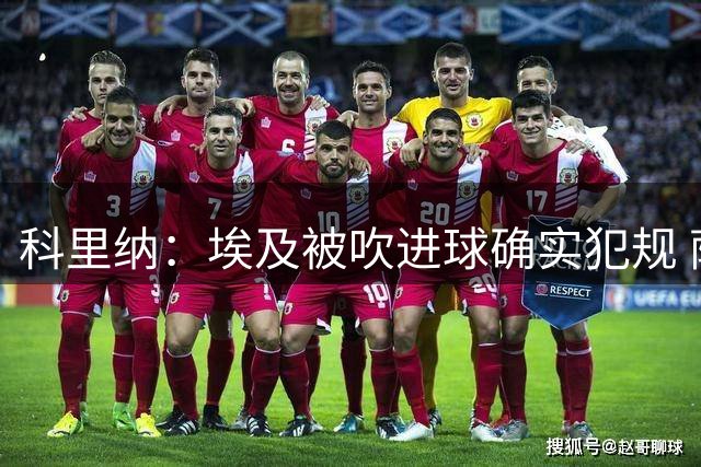 科里纳：埃及被吹进球确实犯规 萨拉赫倒地正常接触